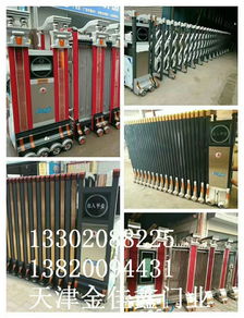 金獅電動報價 廠家